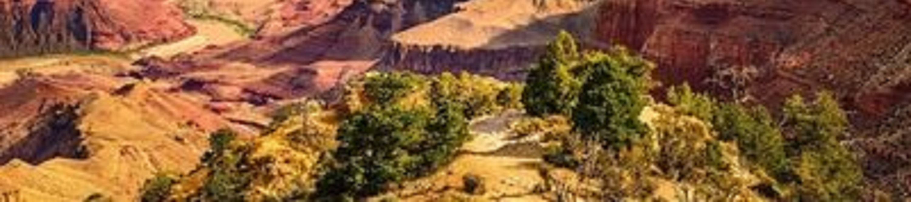 大峽谷 (Grand Canyon) 南緣一日遊