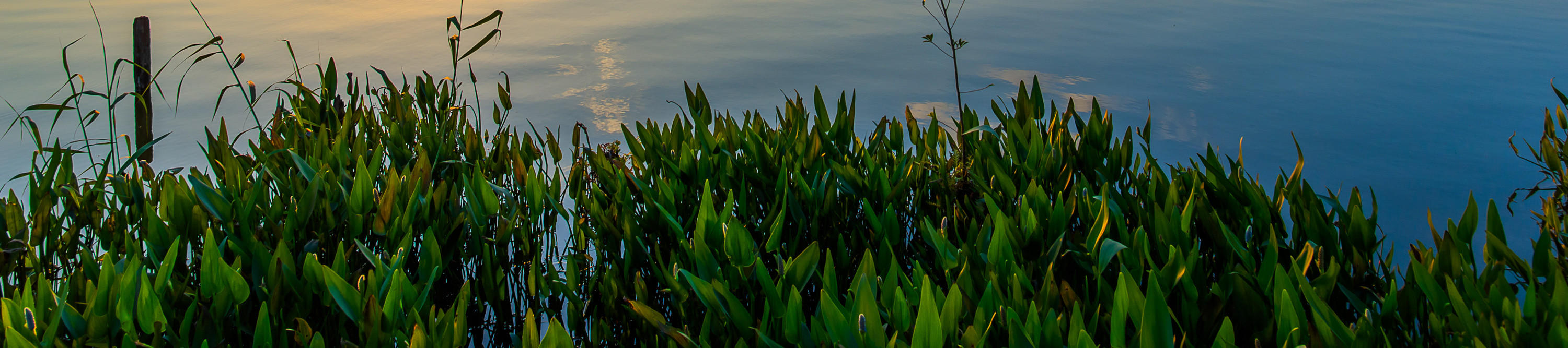 [Mid-year promotion] Hyatt Regency Dongguan Songshan Lake accommodation package | HYATT Group