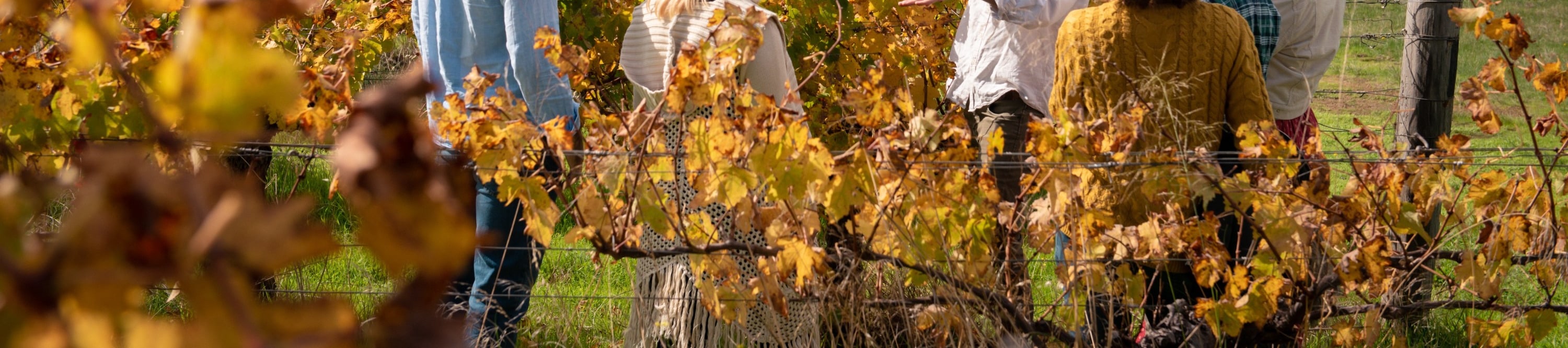 Our knowledgeable guides will take you behind the scenes, sharing fascinating insights