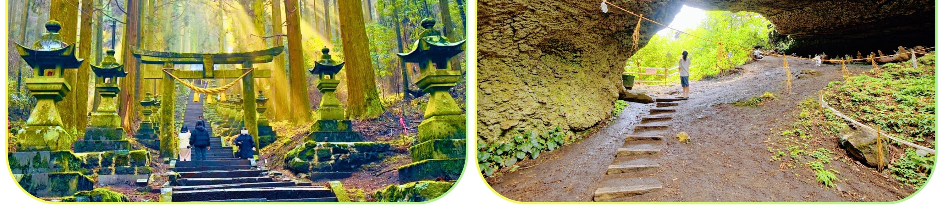 沿著參道拾級而上，陽光從樹葉縫隙間灑落，空氣中瀰漫著森林的氣息，整個過程彷彿走入神話世界。
神社主祭神與熊野信仰有深厚淵源，也因此被視為祈求心願、突破困境的能量場所。這裡同時也是多部動畫與影視作品的取景靈感地，無論是否熟悉日本文化，都能在此感受到強烈而獨特的氛圍。