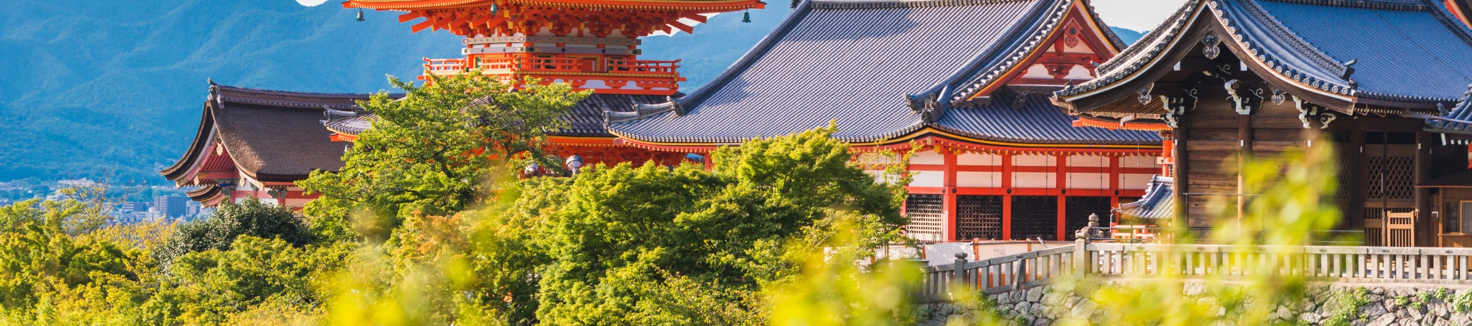 金閣寺＆清水寺＆伏見稻荷大社京都一日遊丨大阪/京都出發