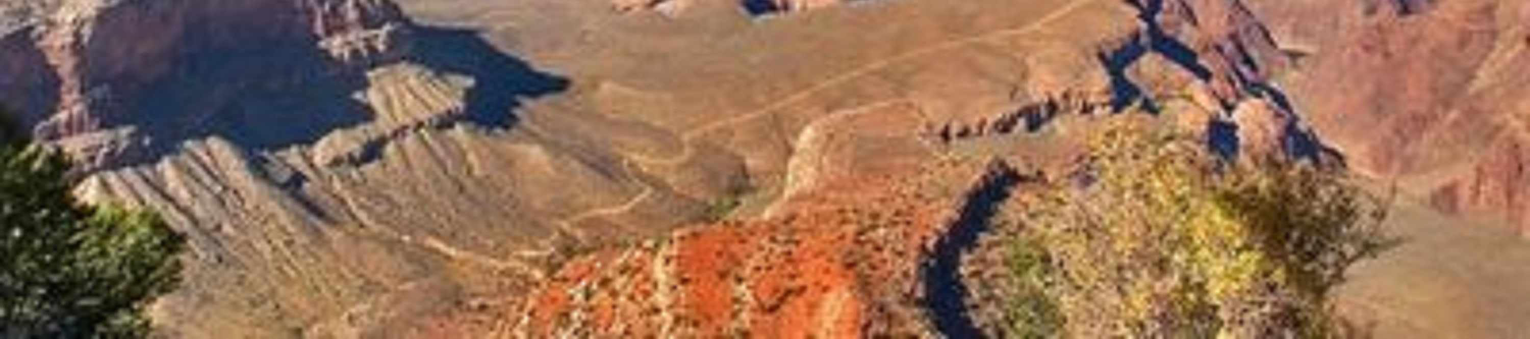 大峽谷 (Grand Canyon) 南緣一日遊
