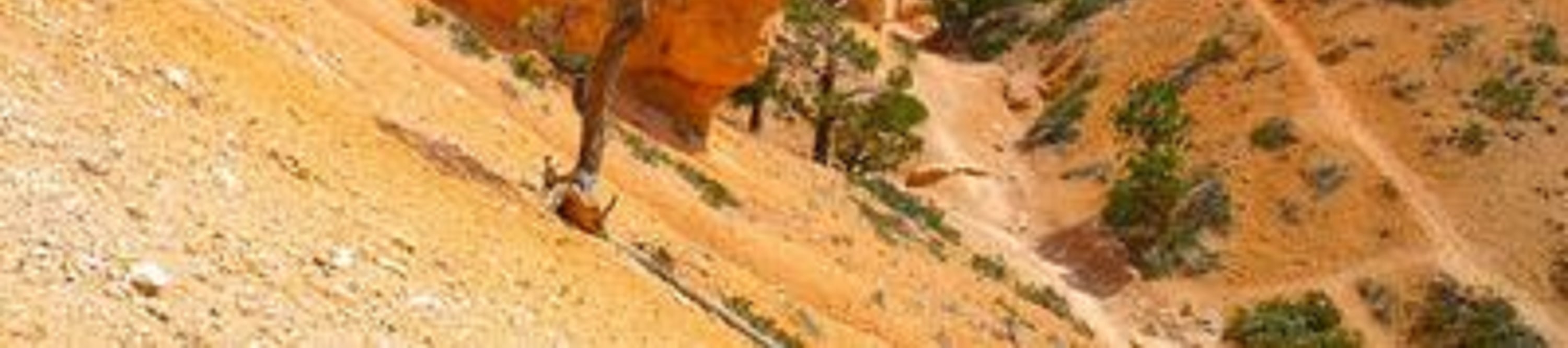 Recognizable by its vibrant orange hoodoos and dramatic rock formations under a bright blue sky