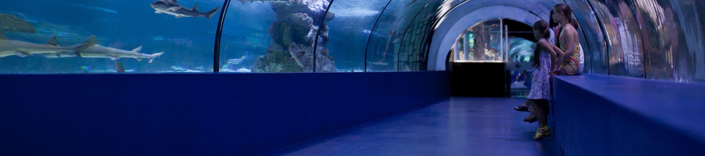 安塔利亞水族館和蠟像館門票