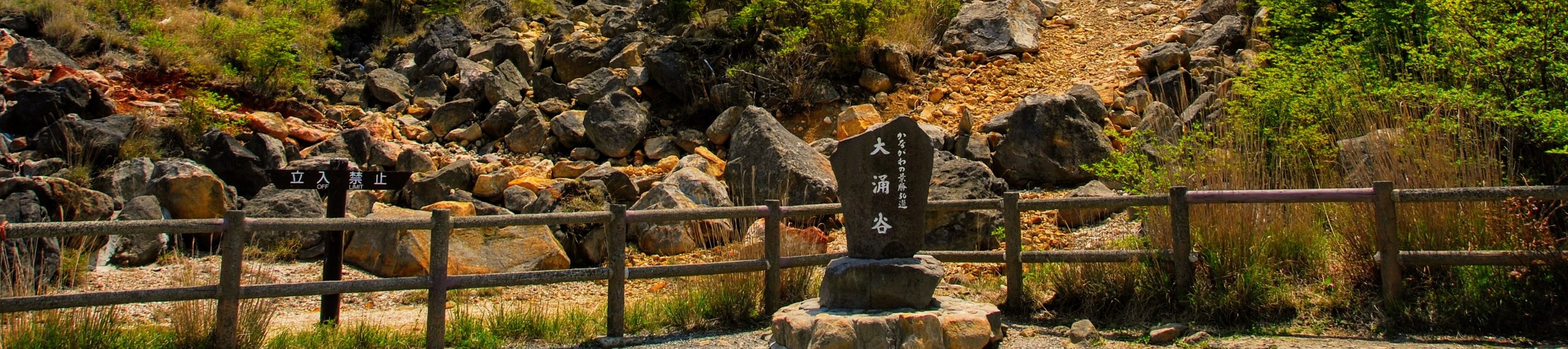 富士山＆箱根巴士一日遊（東京出發）