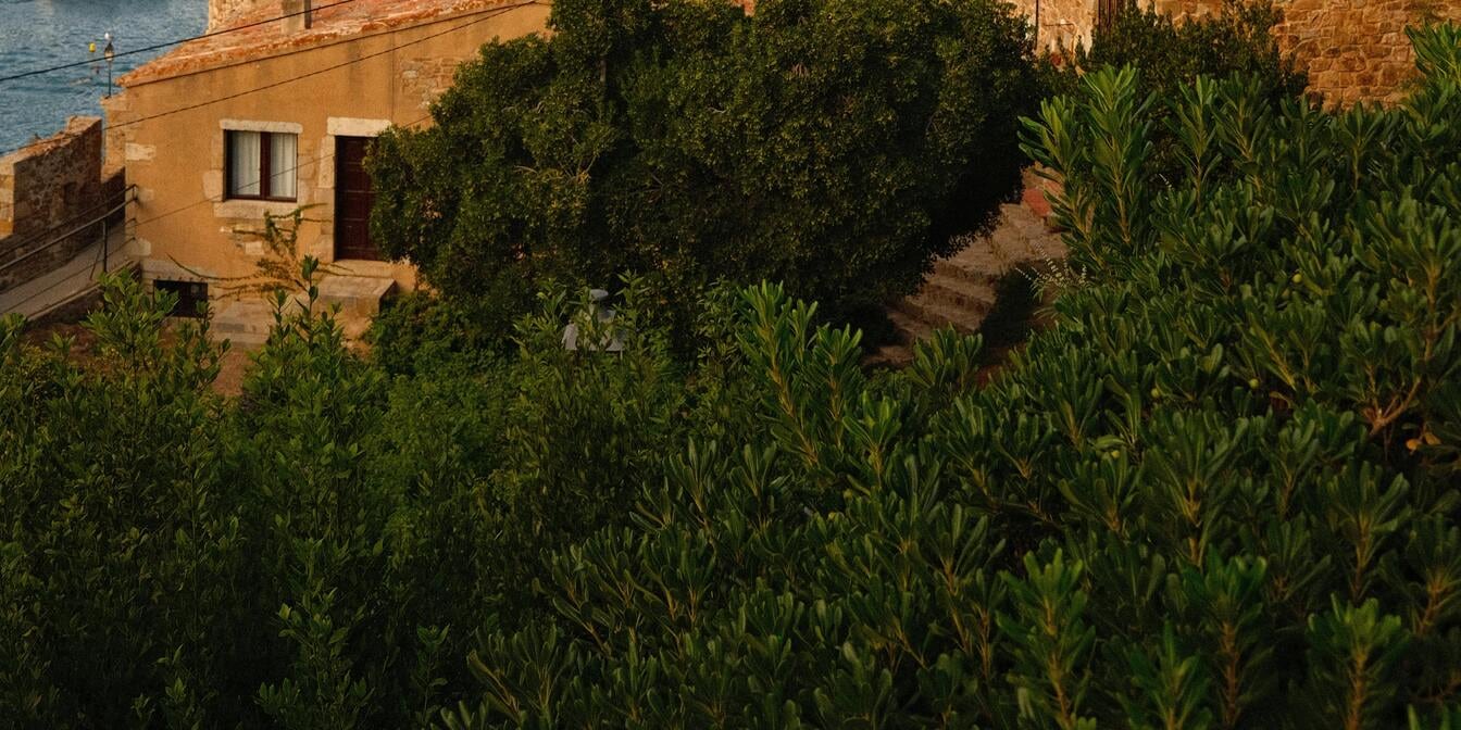Cartagena: Private Guided Tour with Transport