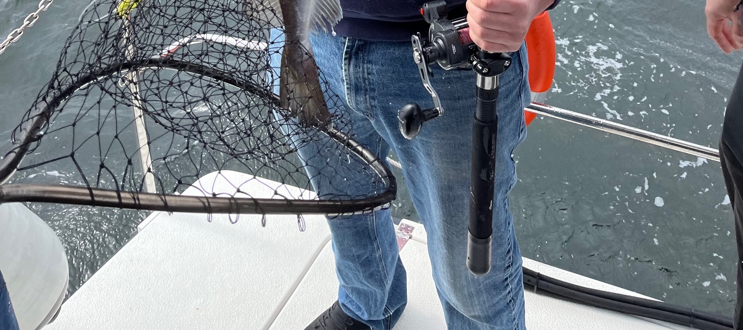 從卑爾根出發的峽灣海上探險之旅，包含釣魚和捕撈螃蟹