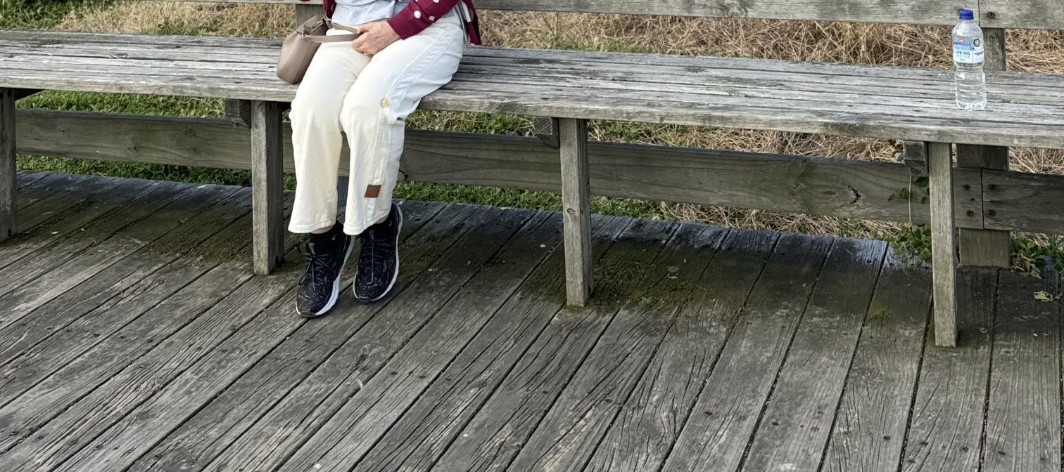 從墨爾本出發的菲利普島企鵝遊行之旅