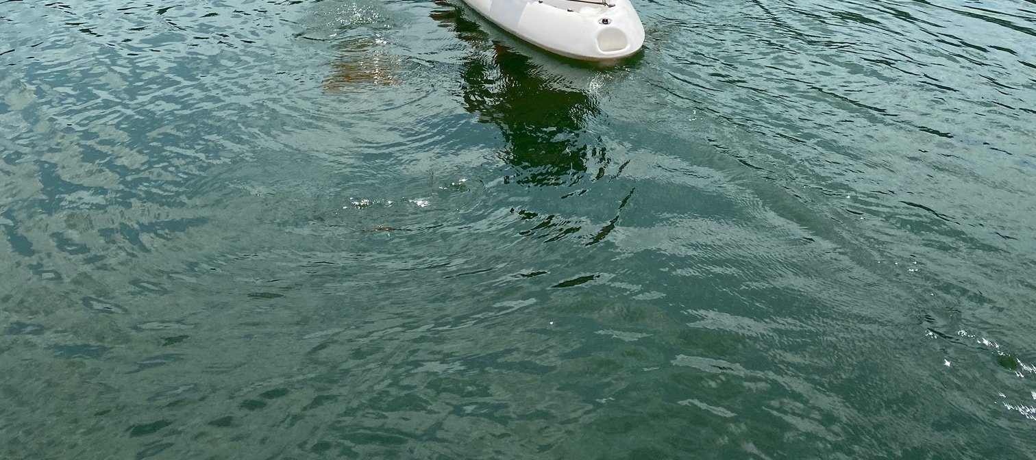 Hualien: Carp Lake Canoe Experience with Instructor