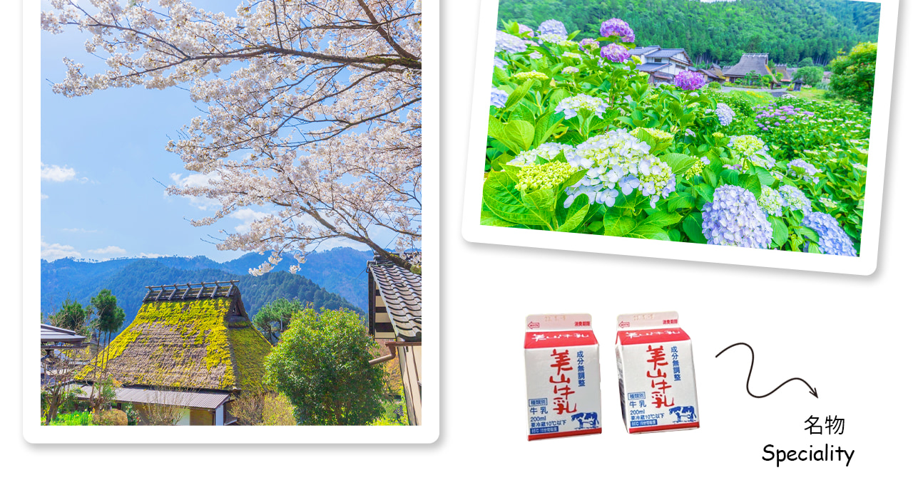 大阪·京都古城風情｜勝尾寺·美山茅葺之裡·嵐山一日遊｜大阪出發