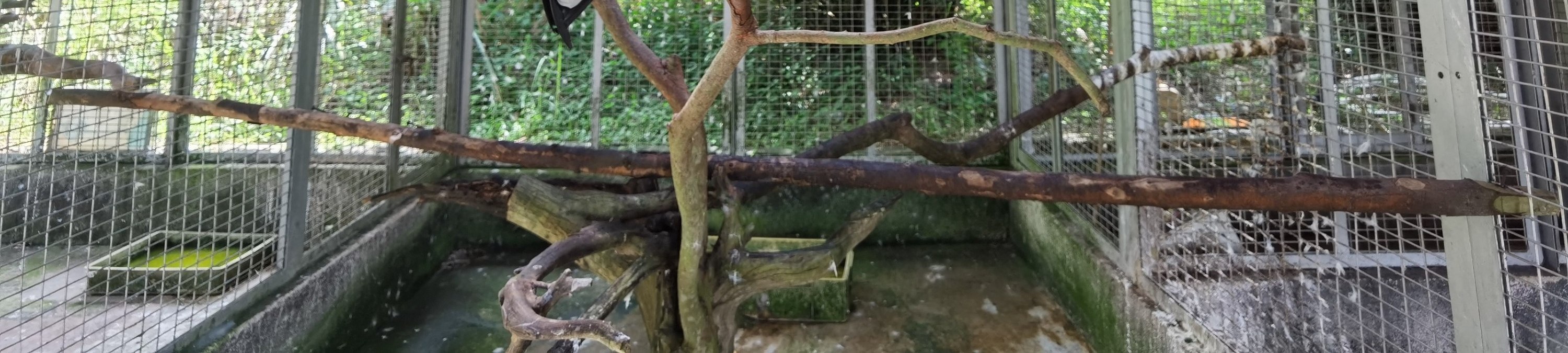 民丹島紅樹林 / 拉戈伊野生動物園 / 沙丘 & 藍湖 / 浮潛一日遊