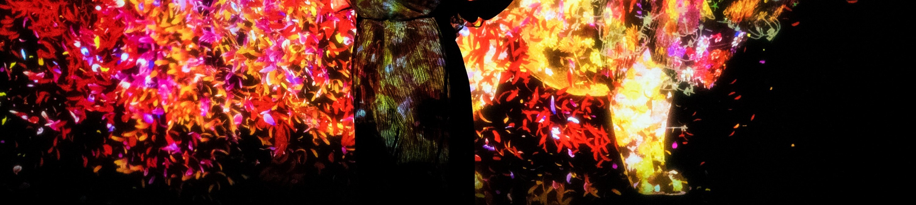 澳門 teamLab 超自然空間門票