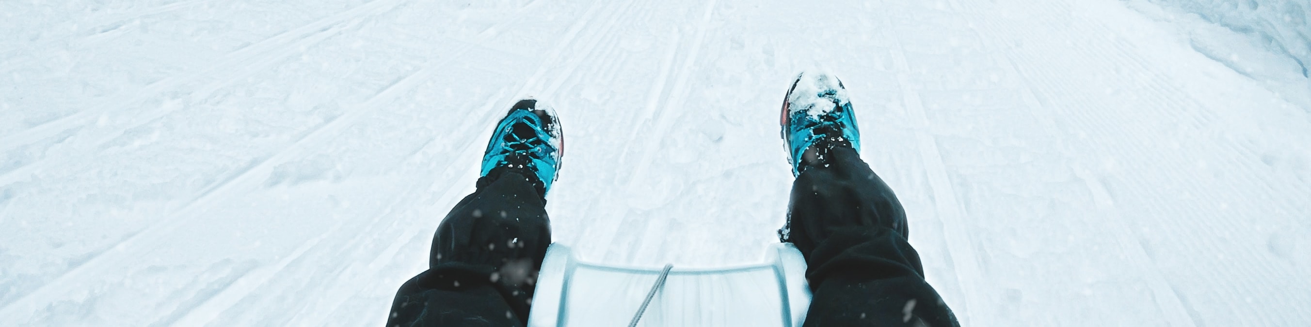Winter Alpine Adventure from Interlaken