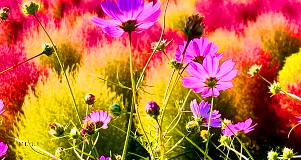 富士山浪漫一日遊|邂逅四季的夢幻景緻與打卡聖地 富士山浪漫一日遊|邂逅四季的夢幻景緻與打卡聖地