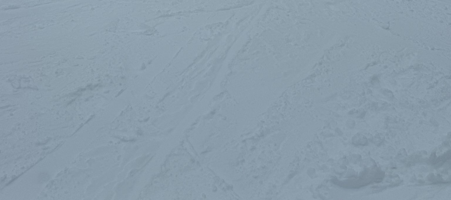 Private Mount Buller Snow & Ski Tour in Melbourne