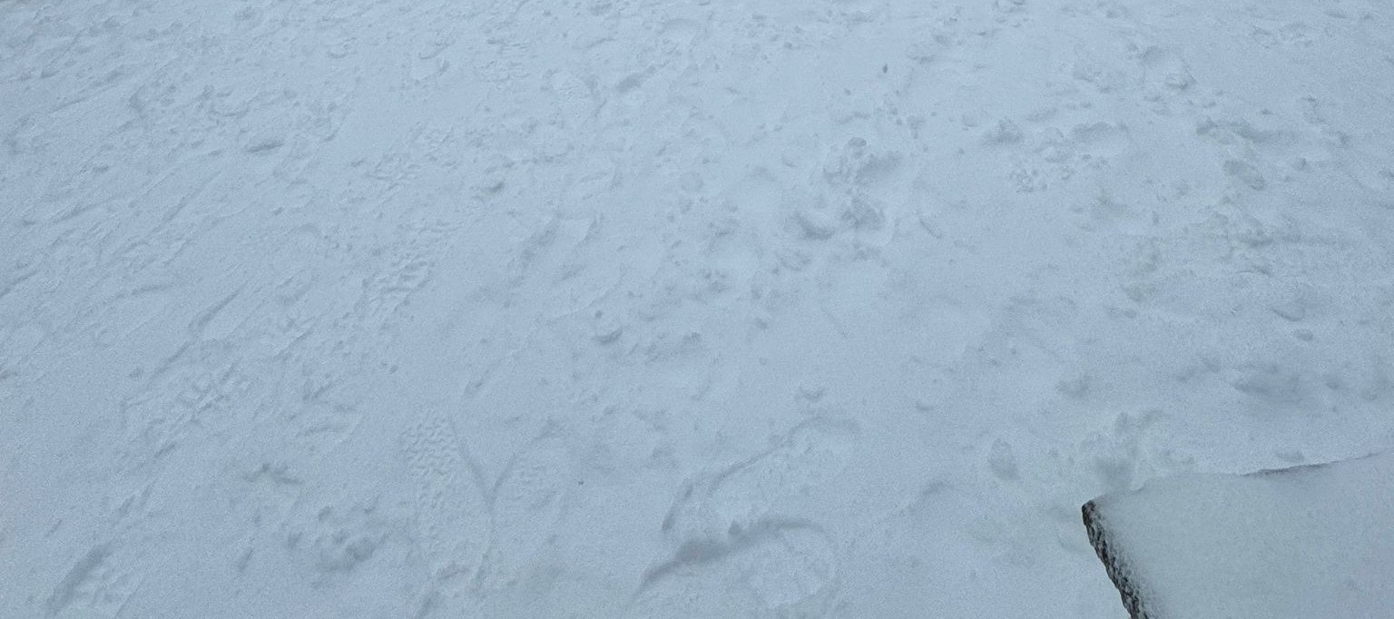 Private Mount Buller Snow & Ski Tour in Melbourne
