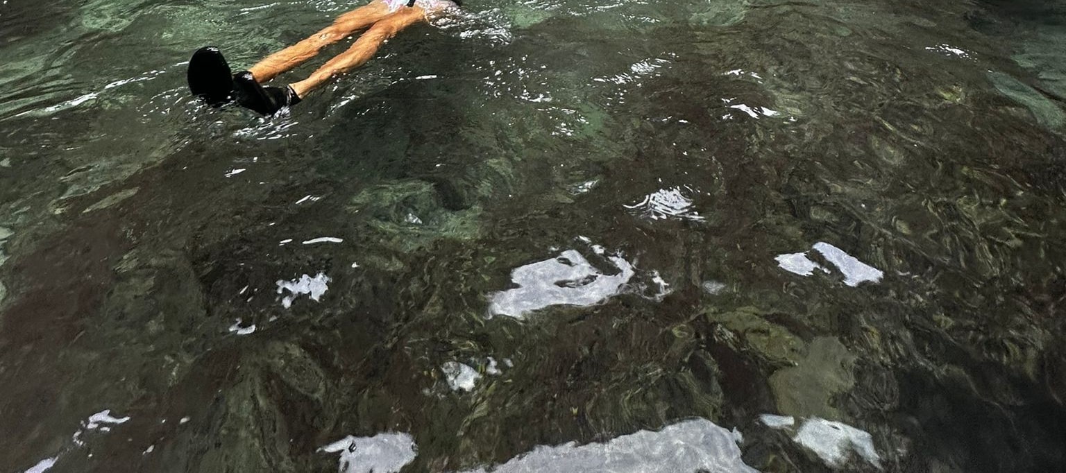 在愛妮島清澈見底的海水中漂浮，四周環繞著高聳的石灰岩懸崖和茂盛的綠色植物，享受寧靜的時刻。