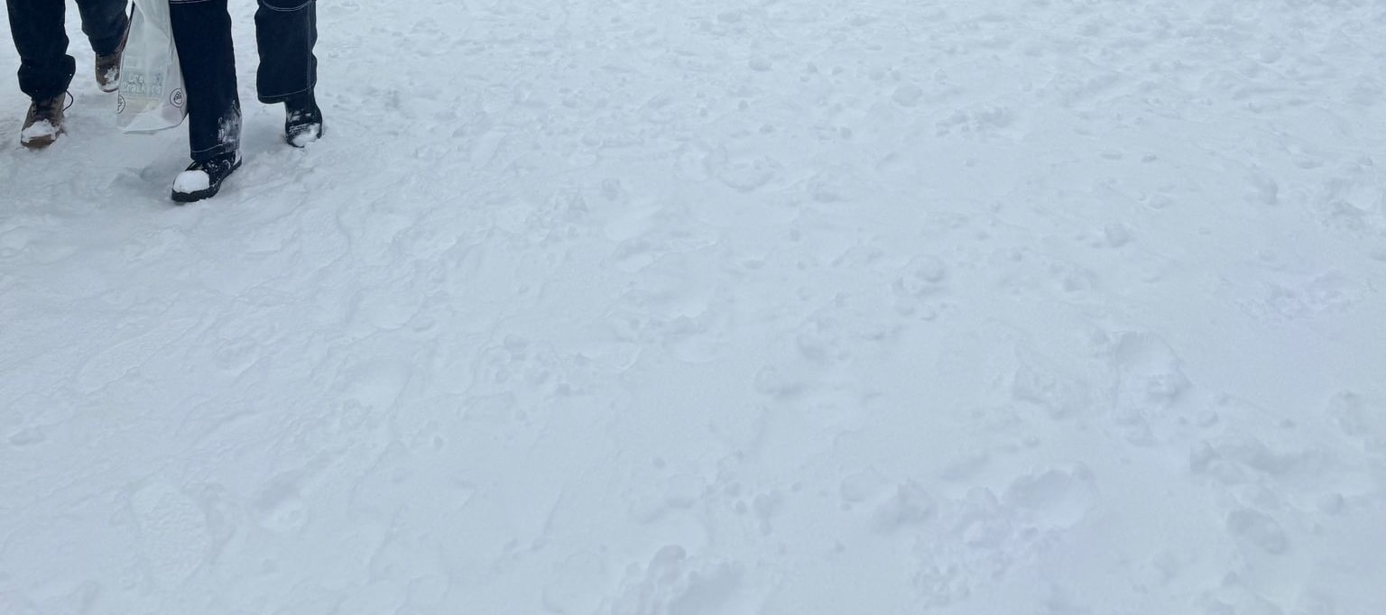 Private Mount Buller Snow & Ski Tour in Melbourne