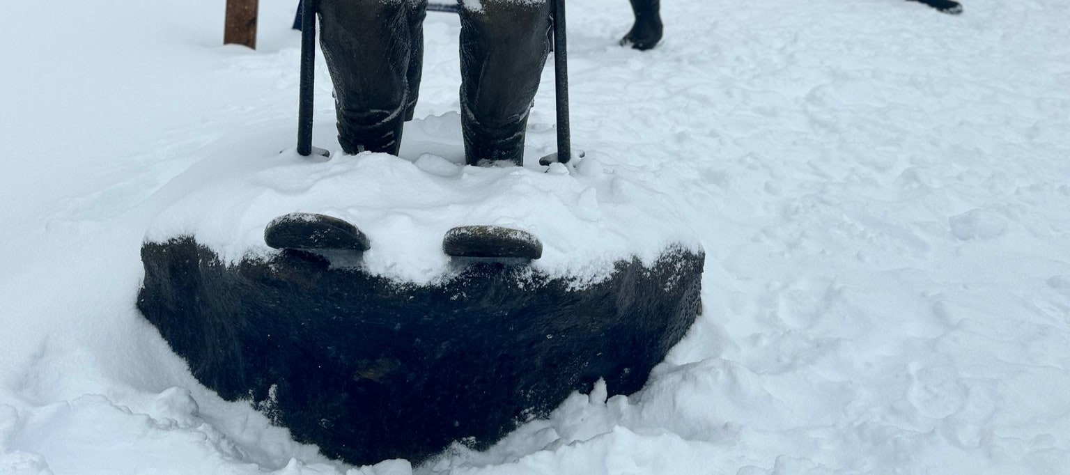 Private Mount Buller Snow & Ski Tour in Melbourne