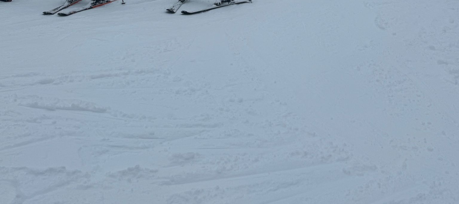 Private Mount Buller Snow & Ski Tour in Melbourne