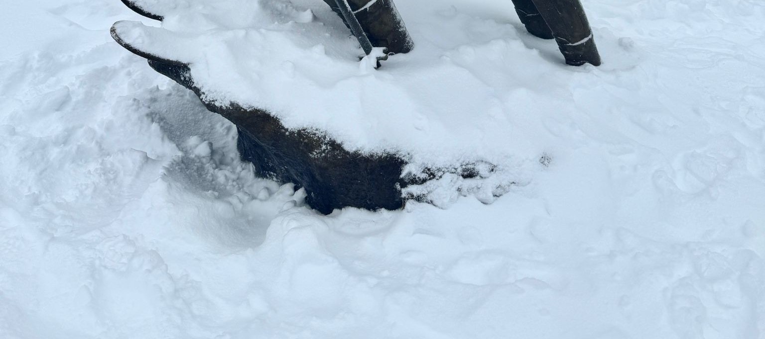 Private Mount Buller Snow & Ski Tour in Melbourne
