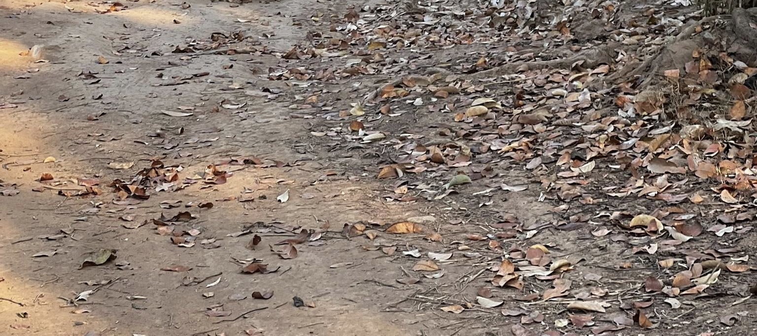 北碧府的自然風光 北碧府的自然風光