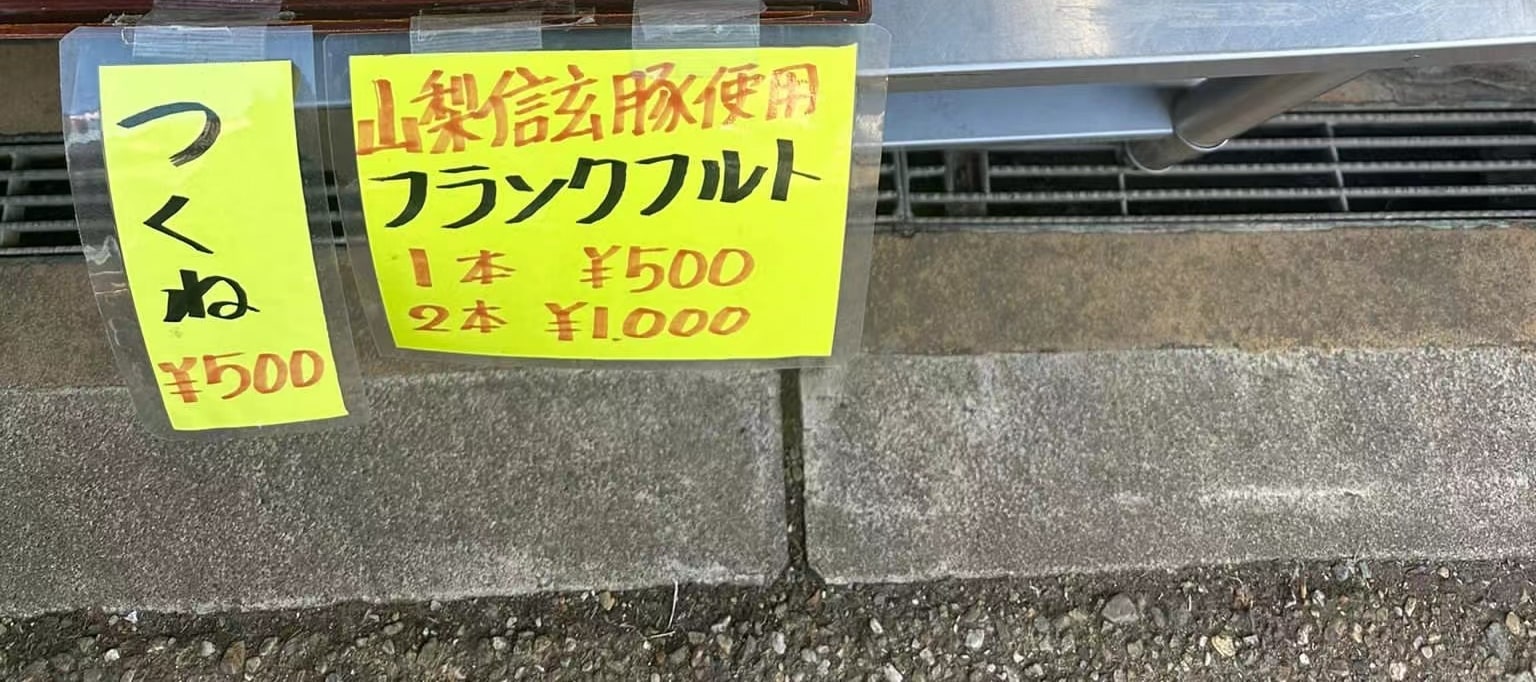 One-Day Tour to Mt. Fuji's Popular Flower Viewing Spots (Depart from Tokyo or Shinjuku)