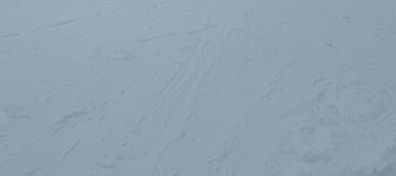 Private Mount Buller Snow & Ski Tour in Melbourne