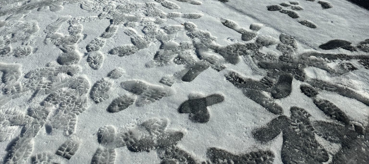 Private Mount Buller Snow & Ski Tour in Melbourne
