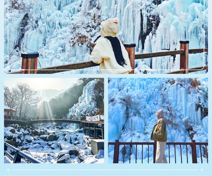 Eobi Ice Valley & Alpaca & Strawberry & Nami & Lighting Festival