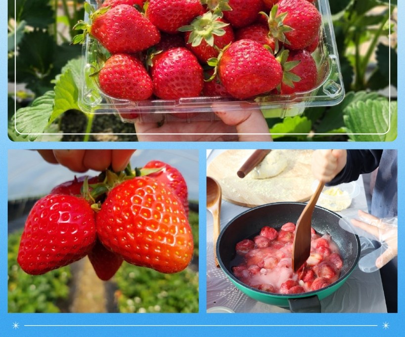 Eobi Ice Valley & Alpaca & Strawberry & Nami & Lighting Festival