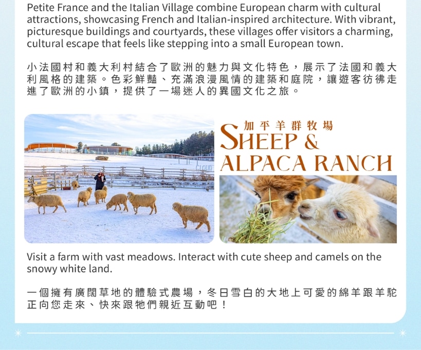Eobi Ice Valley & Alpaca & Strawberry & Nami & Lighting Festival