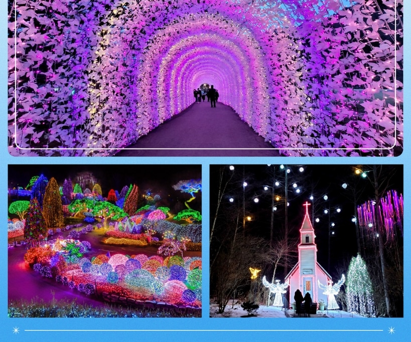 Eobi Ice Valley & Alpaca & Strawberry & Nami & Lighting Festival
