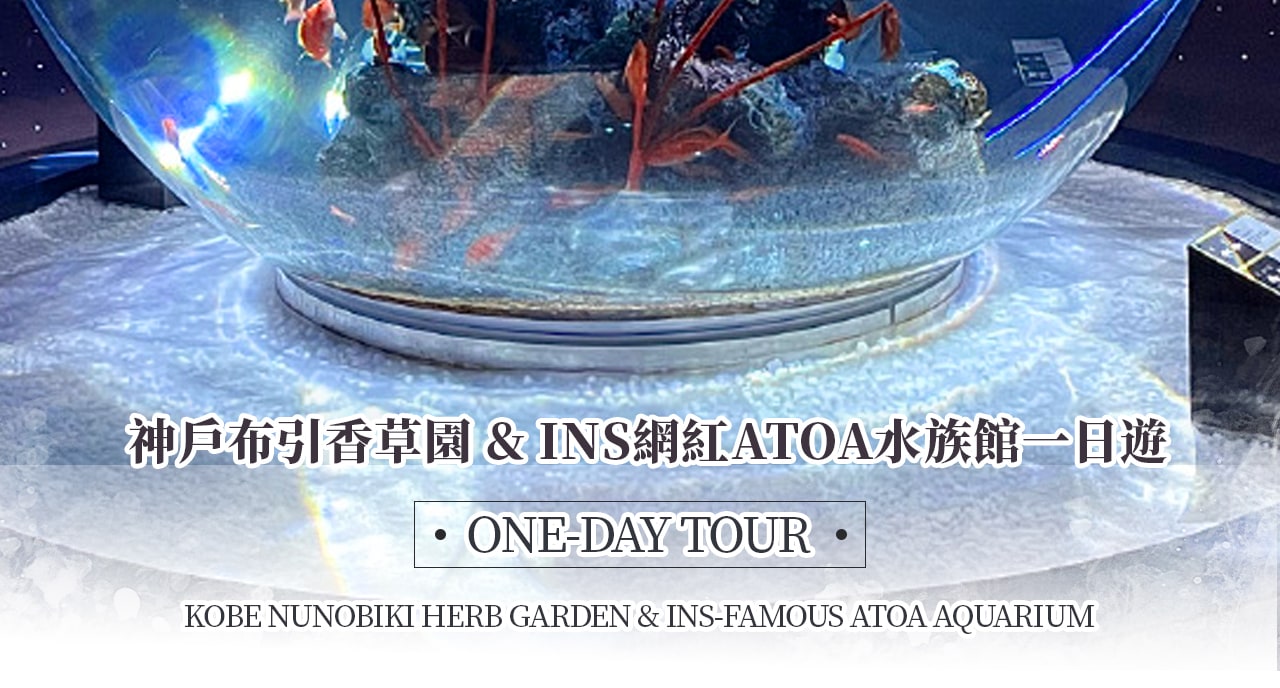 One-day trip to Kobe's famous landmark | Round trip from Osaka, late departure and late return | Nunobiki Herb Gardens + ATOA Aquarium / Meriken Park optional + Mt. Maya night view