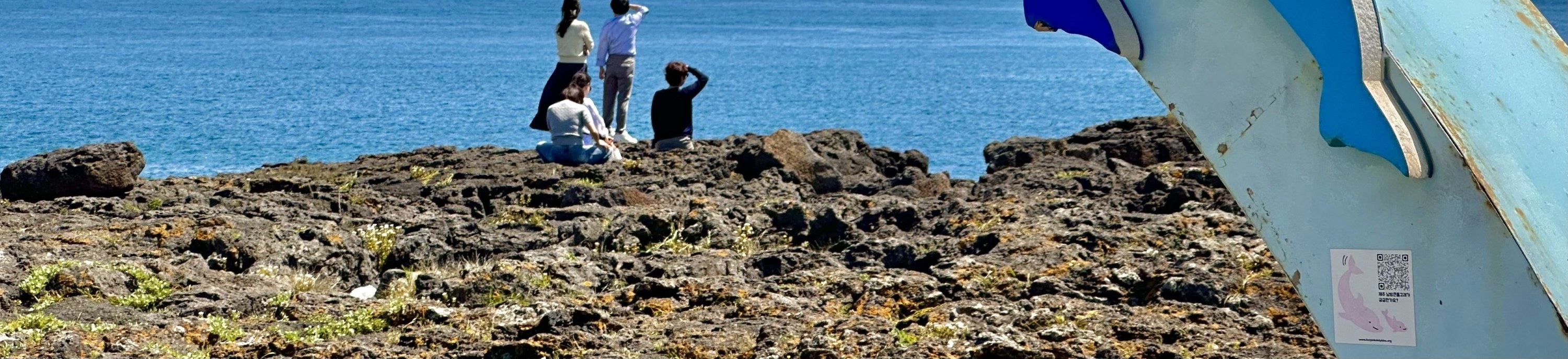 在Dogurial和Conch Park像韓劇中的禹英禑或三達一樣去觀賞海豚。