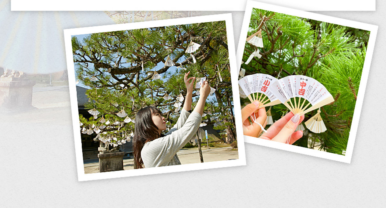 Kyoto by the Sea: Amanohashidate & Ine no Funaya Bus Tour from Osaka