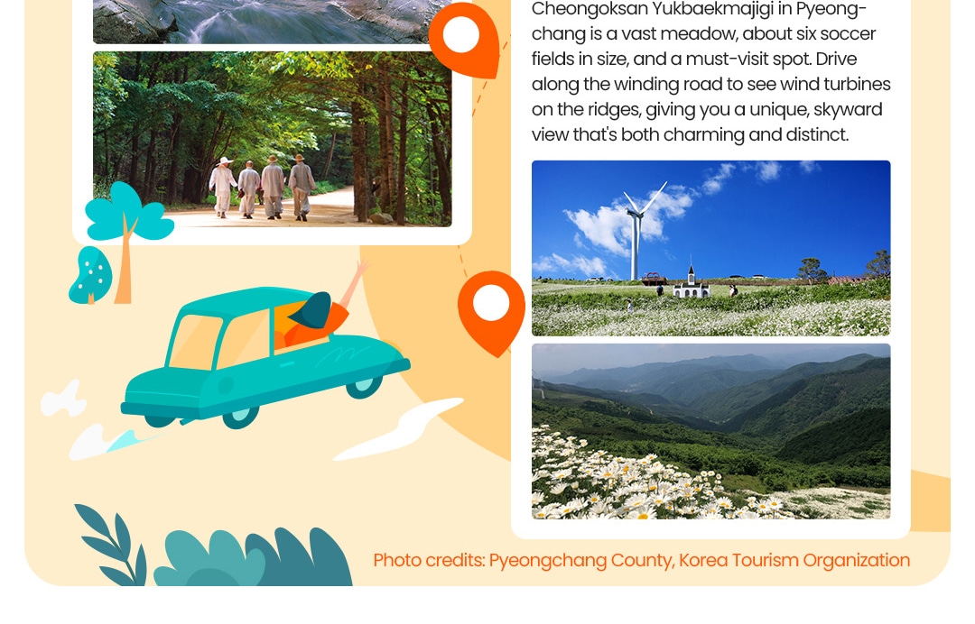 Pyeongchang Private Taxi Tour