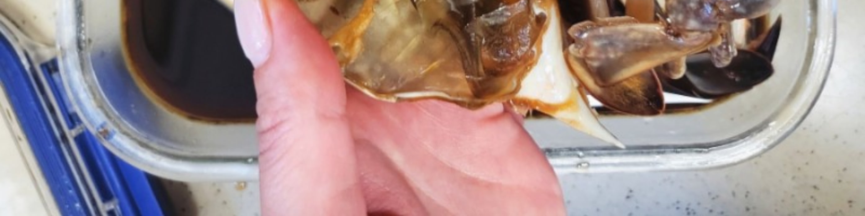 Marinated crab with soy sauce