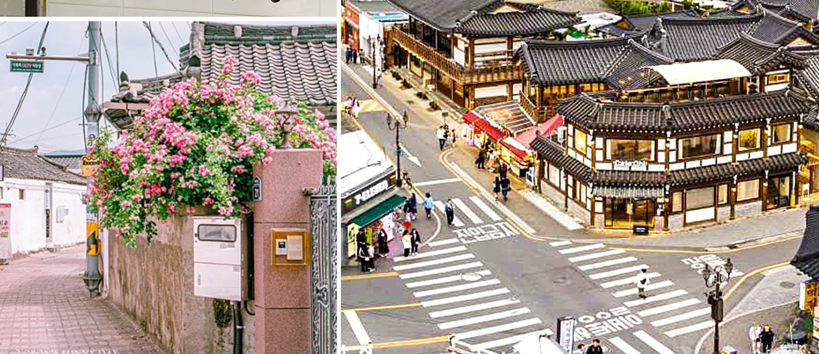從釜山出發，探索慶州9大熱門景點