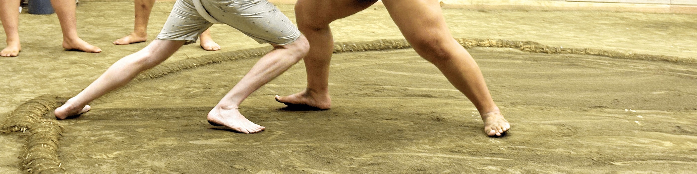 Tokyo Sumo Experience: Morning Practice/ Training with Sumo Wrestler - Thumbnail 12