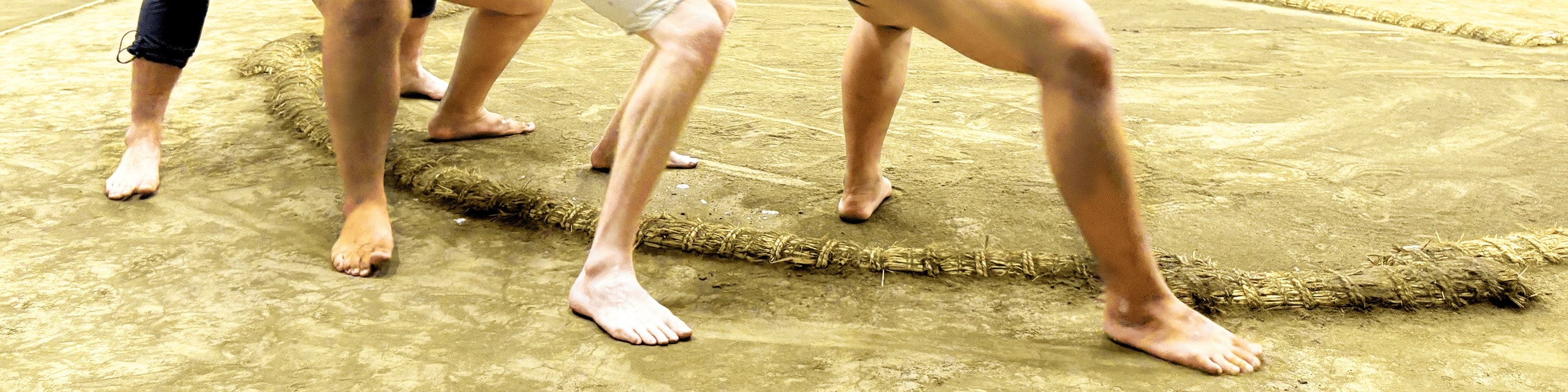 Tokyo Sumo Experience: Morning Practice/ Training with Sumo Wrestler - Thumbnail 9