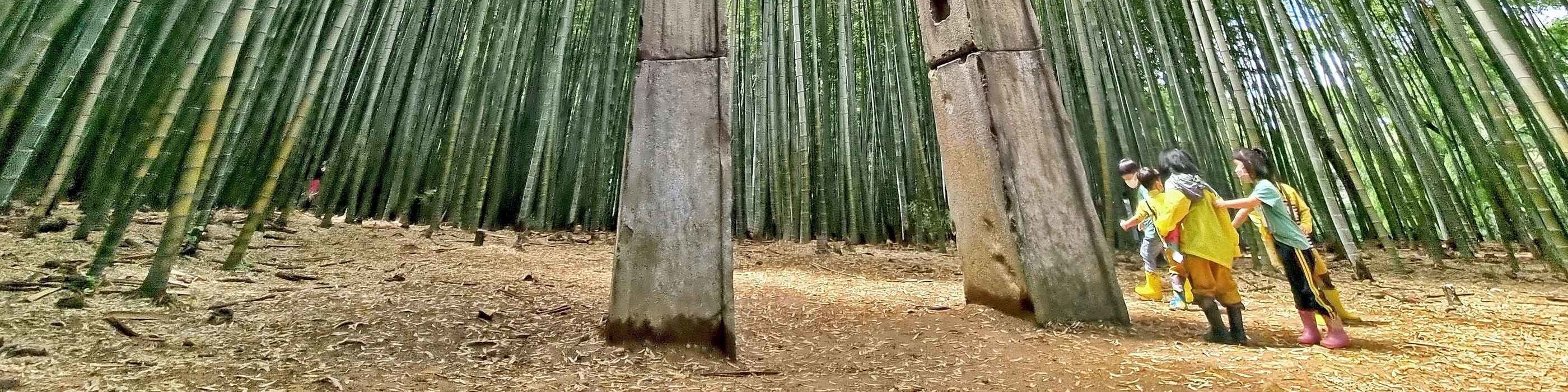 阿合山森林:沉浸在阿合山森林神秘而高聳的竹林中,這是一處保存了數世紀的隱藏版電影秘境。 阿合山森林:沉浸在阿合山森林神秘而高聳的竹林中,這是一處保存了數世紀的隱藏版電影秘境。