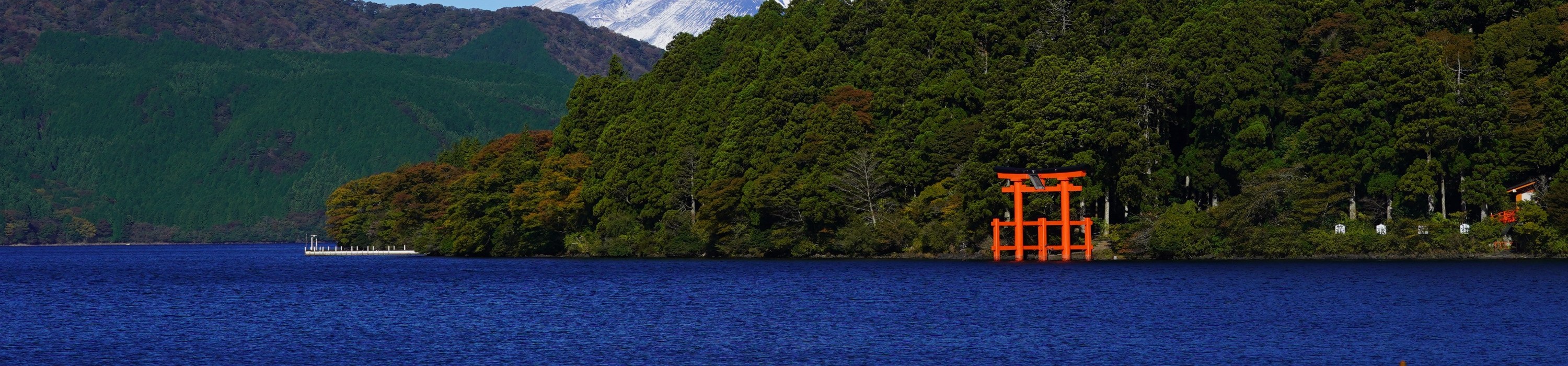 Lake Ashi Summer Festival and Fireworks Festival One-day bus tour (departing from Tokyo)