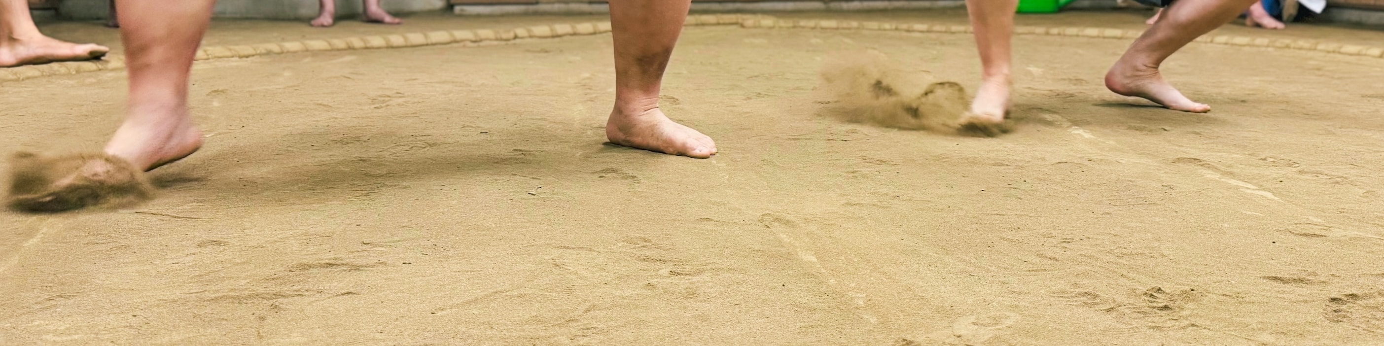 享受一場超越簡單觀光、充滿歡聲笑語的互動式鍛鍊。