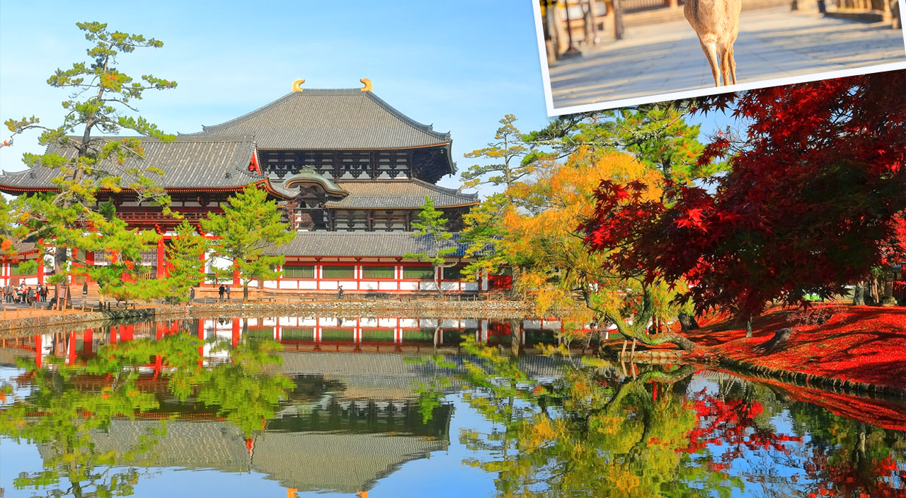 京都奈良嵐山一日遊 | 奈良公園喂小鹿&伏見稻荷千本鳥居&嵐山小火車&竹林小徑 |京都或大阪下車