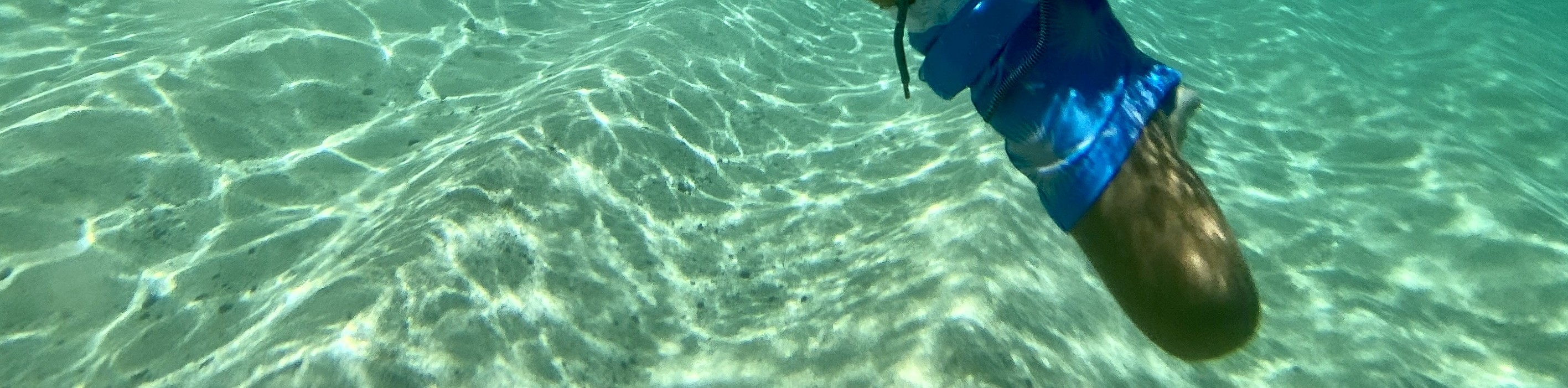 Island Tour + Snorkel + Waterfall - from KoOlina - Thumbnail 7