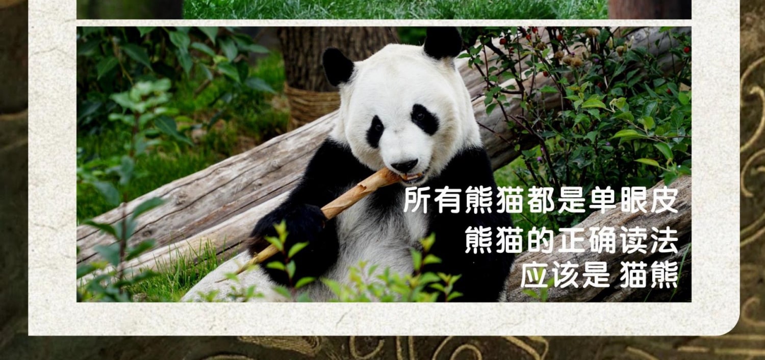 成都三星堆·熊貓基地1日探秘（穿越三千年對話青銅神樹+解密《山海經》熊貓奇緣+熊貓行為觀察家）