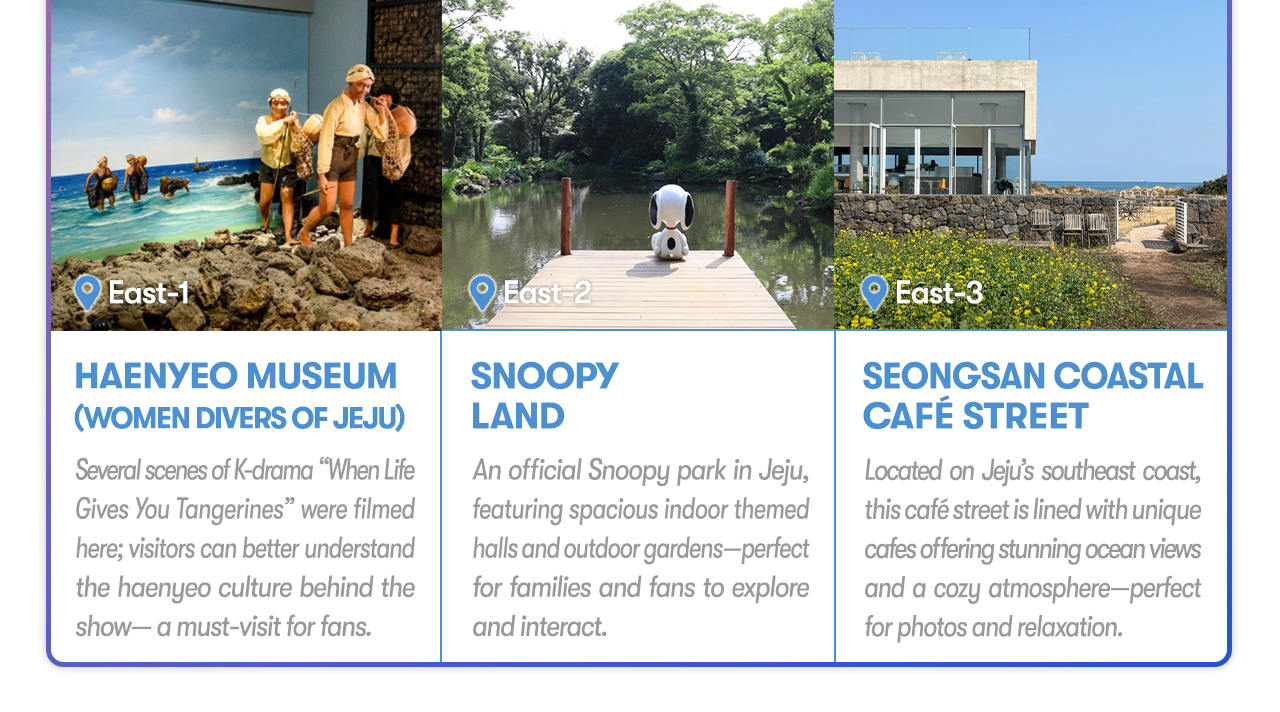 Jeju Car Rental with Driver to Seongsan Sunrise Peak/Osulloc Tea Museum/Cheonjeyeon Waterfalls/Folk Village