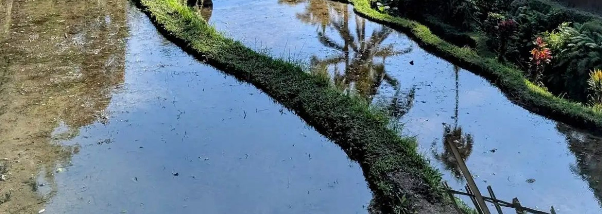 探索德哥拉朗梯田的驚人美景，那裡鬱鬱蔥蔥的綠色田野在一片永恆的風景中展開——非常適合拍照和寧靜的休憩。