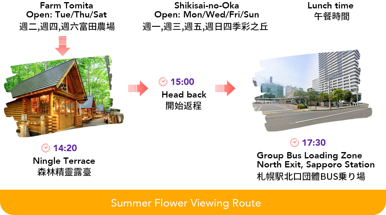 北海道賞花｜雲霄飛車之路&青池&四季彩之丘/富田農場&精靈露臺一日遊｜札幌出發｜可選含自助午餐